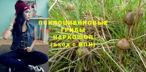 стаф Баксан