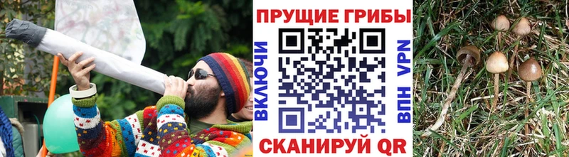 МЕГА зеркало  Краснокаменск  дарк нет формула  Псилоцибиновые грибы мухоморы 